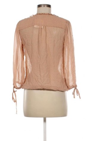 Damen Shirt Zara Trafaluc, Größe M, Farbe Braun, Preis 5,12 €