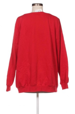 Damen Shirt Zizzi, Größe M, Farbe Rot, Preis 8,35 €