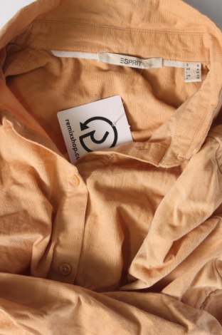 Dámska košeľa  Esprit, Veľkosť S, Farba Oranžová, Cena  2,59 €
