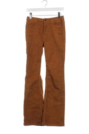 Pantaloni de velvet de femei, Mărime XS, Culoare Maro, Preț 20,99 Lei