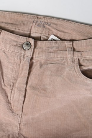 Damen Cordhose Canda, Größe M, Farbe Beige, Preis € 3,63