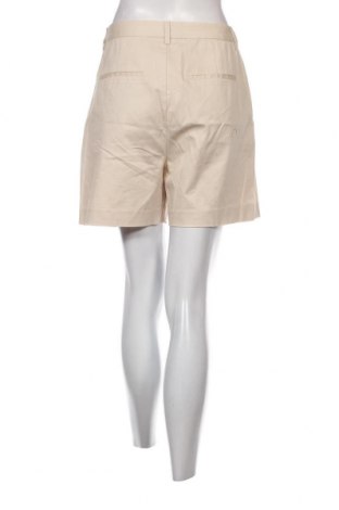 Damen Shorts Maison Scotch, Größe XL, Farbe Beige, Preis 24,54 €