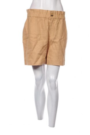 Γυναικείο κοντό παντελόνι Maison Scotch, Μέγεθος XL, Χρώμα Καφέ, Τιμή 21,03 €