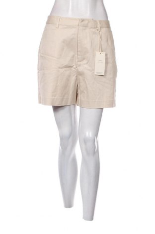 Damen Shorts Maison Scotch, Größe L, Farbe Beige, Preis 24,54 €