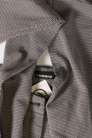 Γυναικείο παντελόνι Cambio, Μέγεθος M, Χρώμα Πολύχρωμο, Τιμή 5,46 €