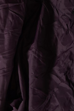 Dámské kalhoty pro zimní sporty , Velikost XL, Barva Fialová, Cena  359,00 Kč