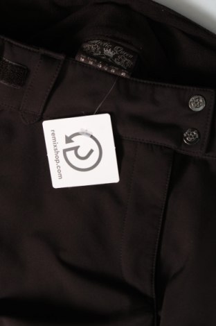 Дамски панталон за зимни спортове Arctic Queen, Размер M, Цвят Кафяв, Цена 16,20 лв.