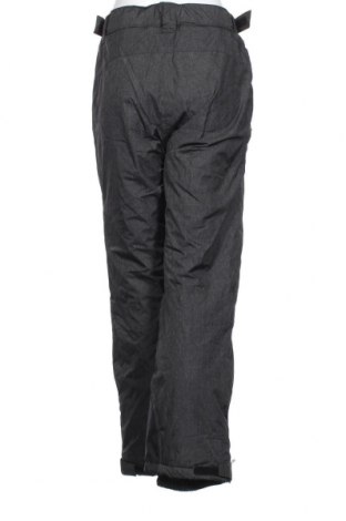 Γυναίκειο παντελόνι για χειμερινά σπορ Crane, Μέγεθος M, Χρώμα Γκρί, Τιμή 13,92 €