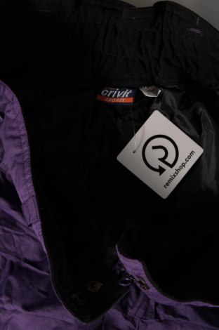 Damenhose für Wintersport Crivit, Größe XL, Farbe Lila, Preis € 20,88