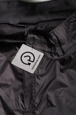 Damenhose für Wintersport Okay, Größe L, Farbe Grau, Preis € 10,86