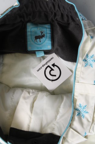 Damenhose für Wintersport TCM, Größe L, Farbe Weiß, Preis 20,88 €
