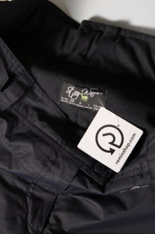 Дамски панталон за зимни спортове TCM, Размер M, Цвят Сив, Цена 25,50 лв.
