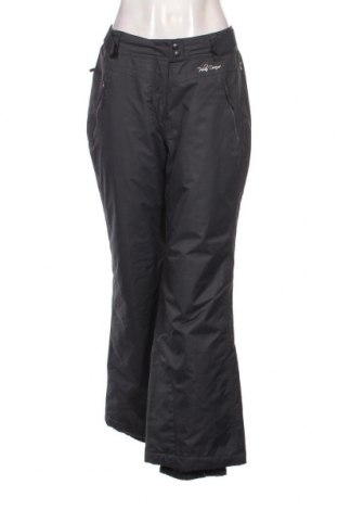 Дамски панталон за зимни спортове TCM, Размер M, Цвят Сив, Цена 15,30 лв.