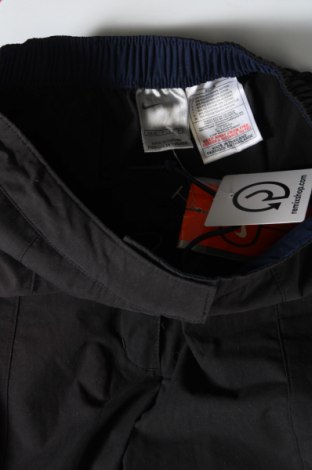 Дамски спортен панталон Nike, Размер XS, Цвят Сив, Цена 33,00 лв.