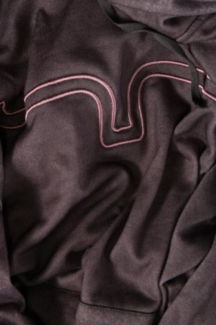 Γυναικείο φούτερ, Μέγεθος L, Χρώμα Γκρί, Τιμή 8,97 €