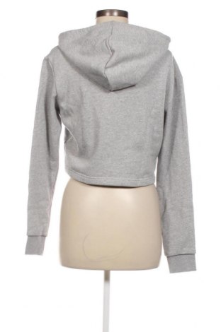 Damen Sweatshirt Adidas Originals, Größe XXS, Farbe Grau, Preis 40,21 €