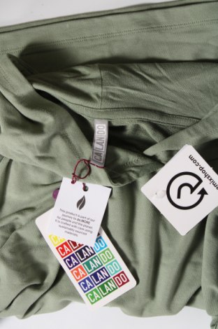 Damen Sweatshirt Calando, Größe XS, Farbe Grün, Preis € 9,48
