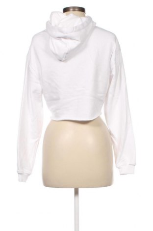 Damen Sweatshirt Starter, Größe XS, Farbe Weiß, Preis € 8,77