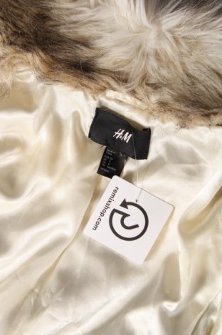 Дамско палто H&M, Размер XS, Цвят Многоцветен, Цена 32,10 лв.