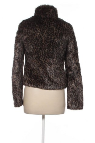 Γυναικείο παλτό Pimkie, Μέγεθος S, Χρώμα Πολύχρωμο, Τιμή 29,79 €