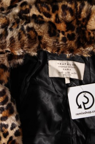 Palton de femei Zara Trafaluc, Mărime XS, Culoare Maro, Preț 59,01 Lei