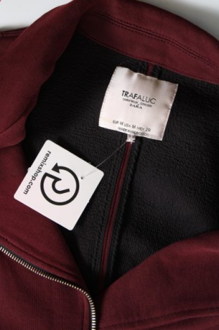 Γυναικείο μπουφάν Zara Trafaluc, Μέγεθος M, Χρώμα Βιολετί, Τιμή 17,39 €