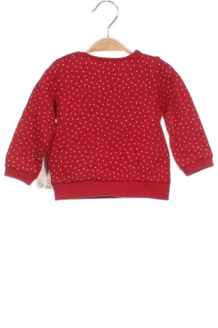 Dziecięca bluzka C&A, Rozmiar 3-6m/ 62-68 cm, Kolor Czerwony, Cena 37,12 zł
