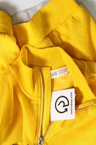 Детска блуза H&M, Размер 12-13y/ 158-164 см, Цвят Многоцветен, Цена 10,08 лв.