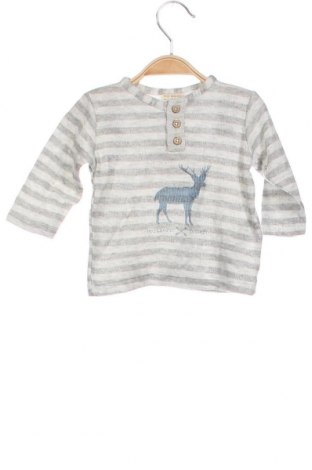 Kinder Shirt Zara, Größe 3-6m/ 62-68 cm, Farbe Mehrfarbig, Preis 6,50 €