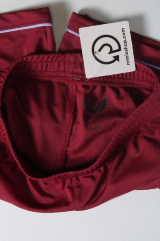 Παιδικό κοντό παντελόνι Castore, Μέγεθος 5-6y/ 116-122 εκ., Χρώμα Κόκκινο, Τιμή 4,25 €