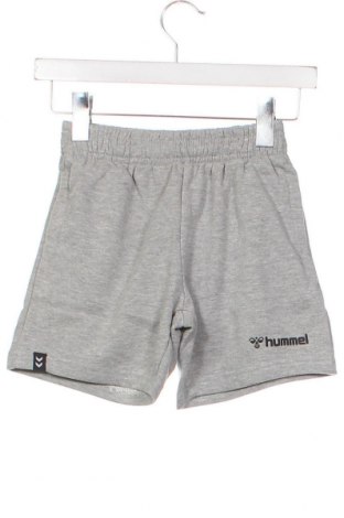 Pantaloni scurți pentru copii Hummel, Mărime 6-7y/ 122-128 cm, Culoare Gri, Preț 103,16 Lei