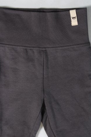 Detské nohavice , Veľkosť 3-6m/ 62-68 cm, Farba Sivá, Cena  5,12 €