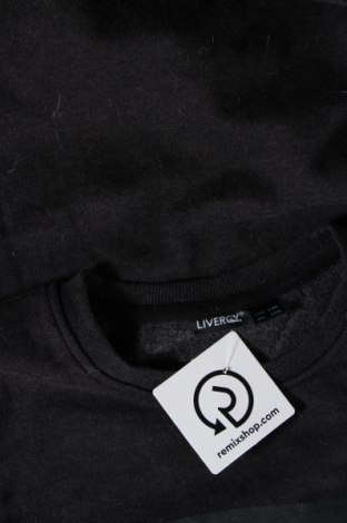 Ανδρική μπλούζα Livergy, Μέγεθος S, Χρώμα Γκρί, Τιμή 5,64 €