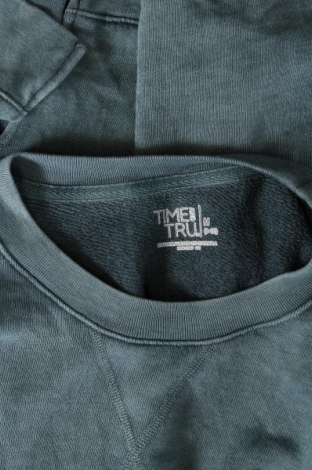 Ανδρική μπλούζα Time and tru, Μέγεθος M, Χρώμα Πράσινο, Τιμή 9,72 €