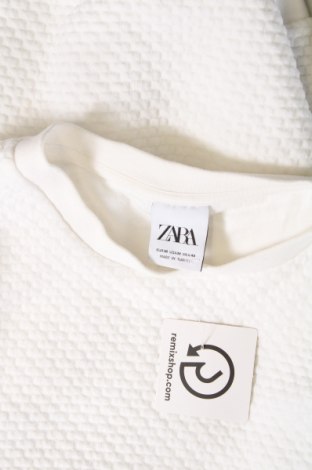 Pánské tričko  Zara, Velikost M, Barva Bílá, Cena  239,00 Kč