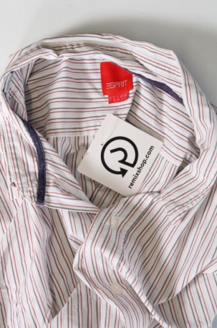Ανδρικό πουκάμισο Esprit, Μέγεθος L, Χρώμα Πολύχρωμο, Τιμή 5,12 €