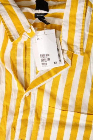 Pánska košeľa  H&M, Veľkosť L, Farba Viacfarebná, Cena  12,71 €