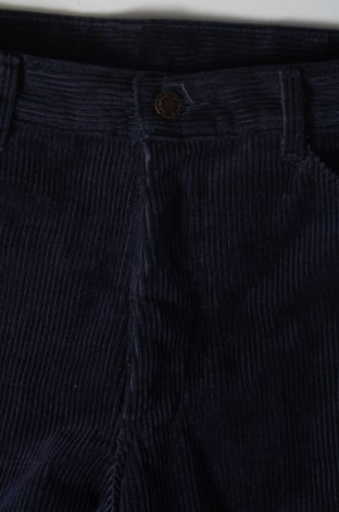 Мъжки джинси, Размер M, Цвят Син, Цена 7,83 лв.
