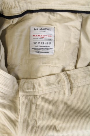 Pantaloni raiați de bărbați Mr Marcel, Mărime L, Culoare Ecru, Preț 29,57 Lei