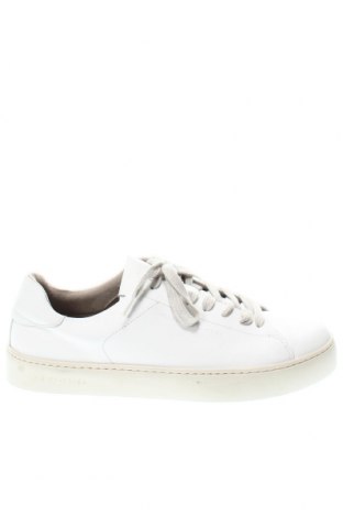 Ανδρικά παπούτσια AllSaints, Μέγεθος 42, Χρώμα Λευκό, Τιμή 54,43 €