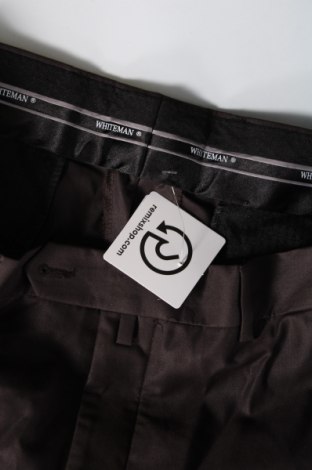 Ανδρικό παντελόνι, Μέγεθος L, Χρώμα Καφέ, Τιμή 3,77 €