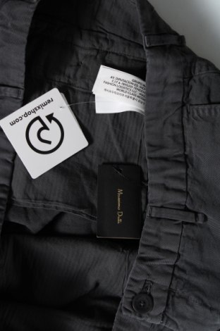 Ανδρικό παντελόνι Massimo Dutti, Μέγεθος L, Χρώμα Γκρί, Τιμή 81,65 €