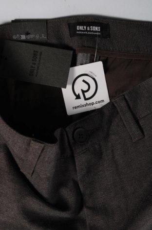 Herrenhose Only & Sons, Größe M, Farbe Grau, Preis € 7,99