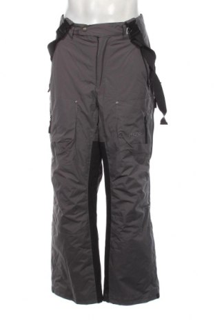 Ανδρικό παντελόνι για χειμερινά σπορ, Μέγεθος L, Χρώμα Γκρί, Τιμή 13,92 €