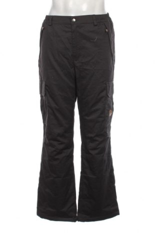 Ανδρικό παντελόνι για χειμερινά σπορ, Μέγεθος L, Χρώμα Μαύρο, Τιμή 9,74 €