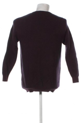 Ανδρικό πουλόβερ Casa Moda, Μέγεθος L, Χρώμα Βιολετί, Τιμή 27,22 €
