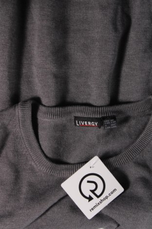 Ανδρικό πουλόβερ Livergy, Μέγεθος XL, Χρώμα Γκρί, Τιμή 5,38 €