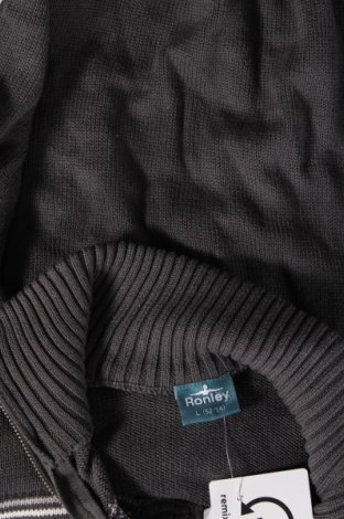 Мъжки пуловер Ronley, Размер L, Цвят Сив, Цена 8,70 лв.