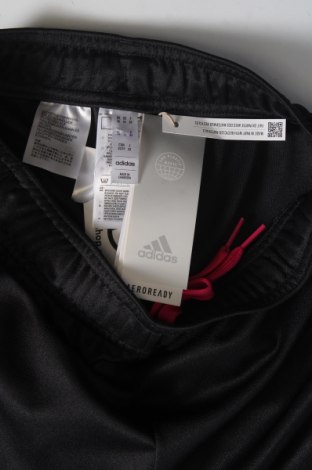 Pantaloni trening de bărbați Adidas, Mărime XS, Culoare Negru, Preț 286,18 Lei