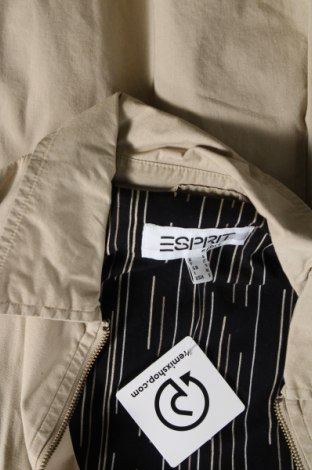 Pánska bunda  Esprit, Veľkosť S, Farba Béžová, Cena  6,11 €